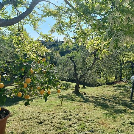 Le Massucce San Casciano in Val di Pesa Εξωτερικό φωτογραφία