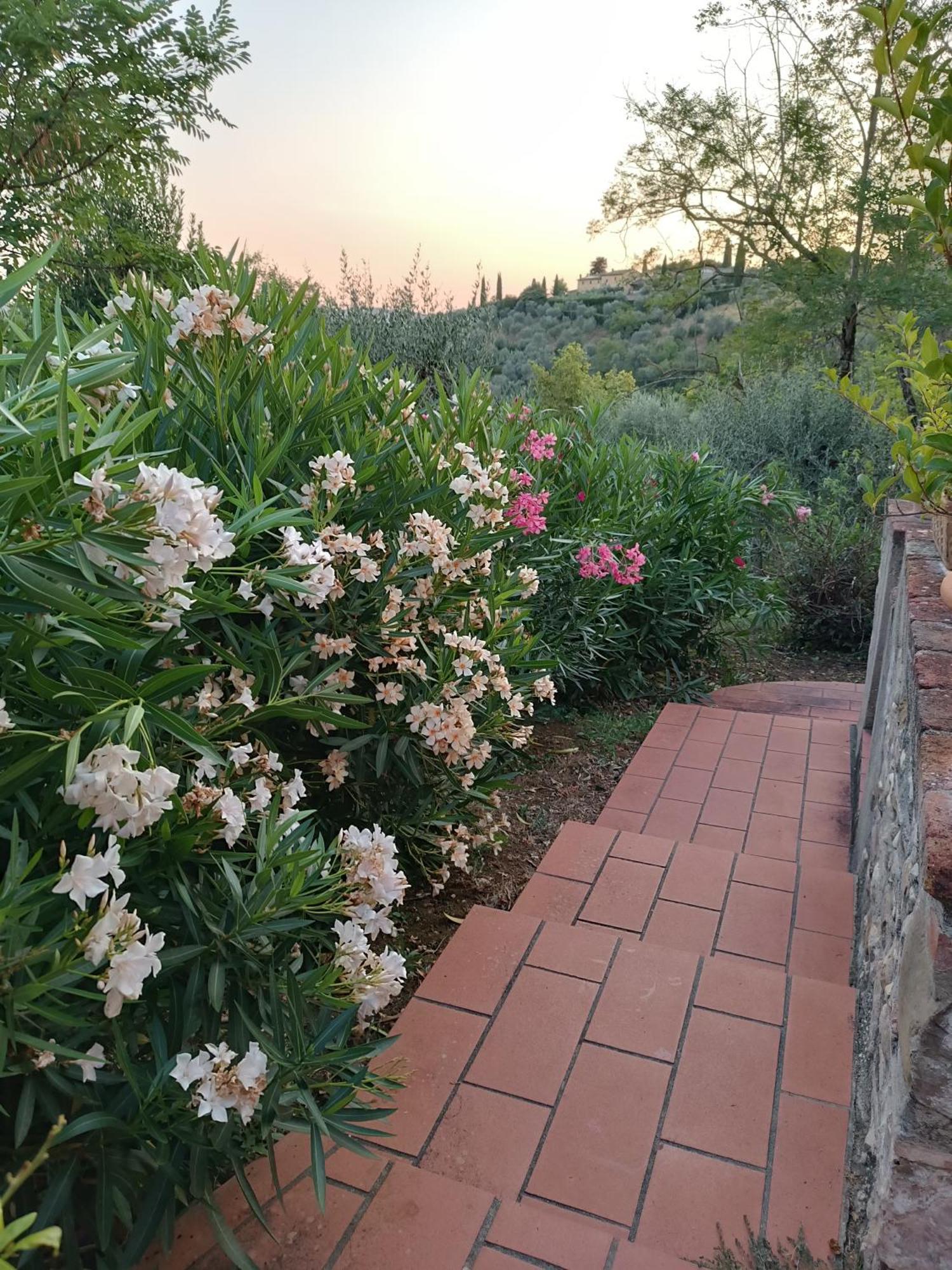 Le Massucce San Casciano in Val di Pesa Εξωτερικό φωτογραφία