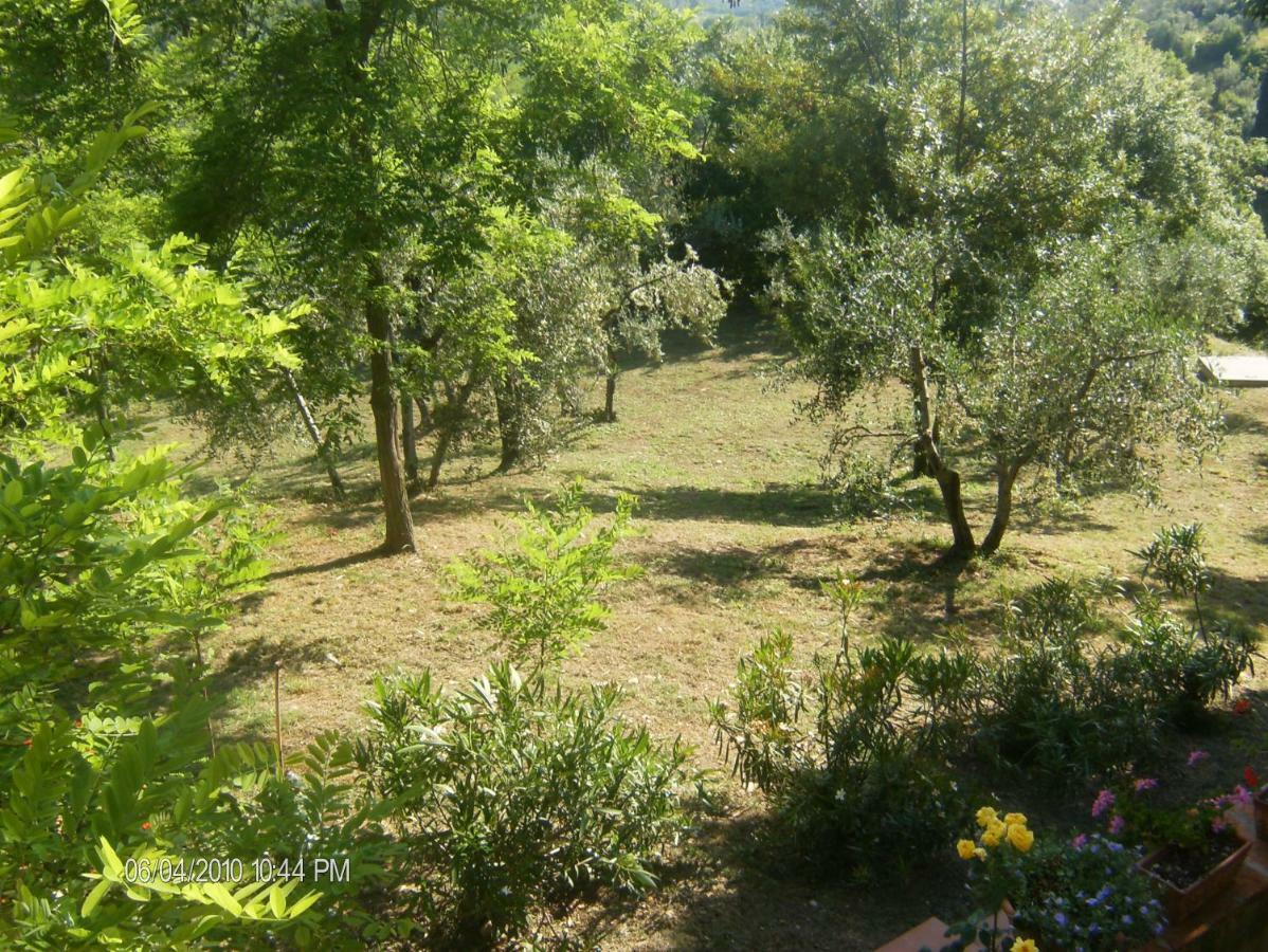 Le Massucce San Casciano in Val di Pesa Εξωτερικό φωτογραφία