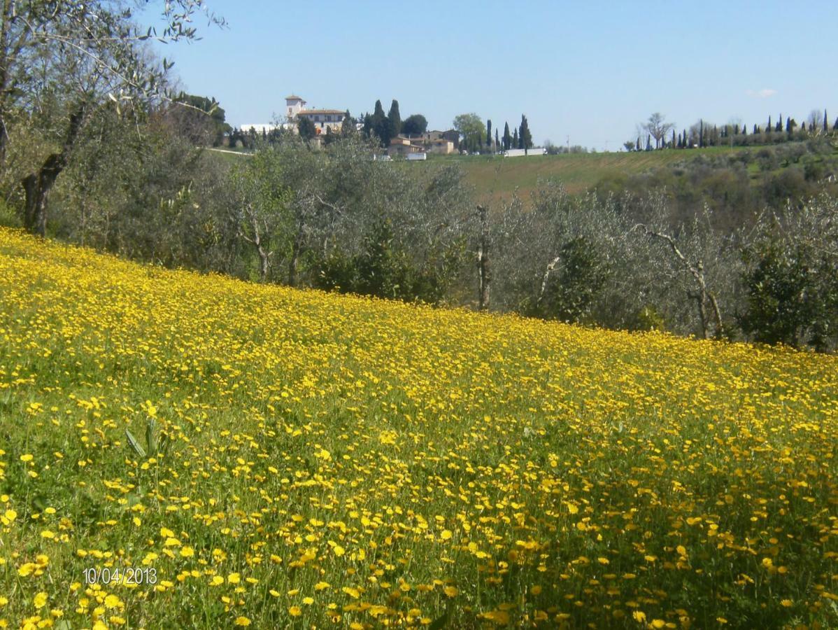 Le Massucce San Casciano in Val di Pesa Εξωτερικό φωτογραφία