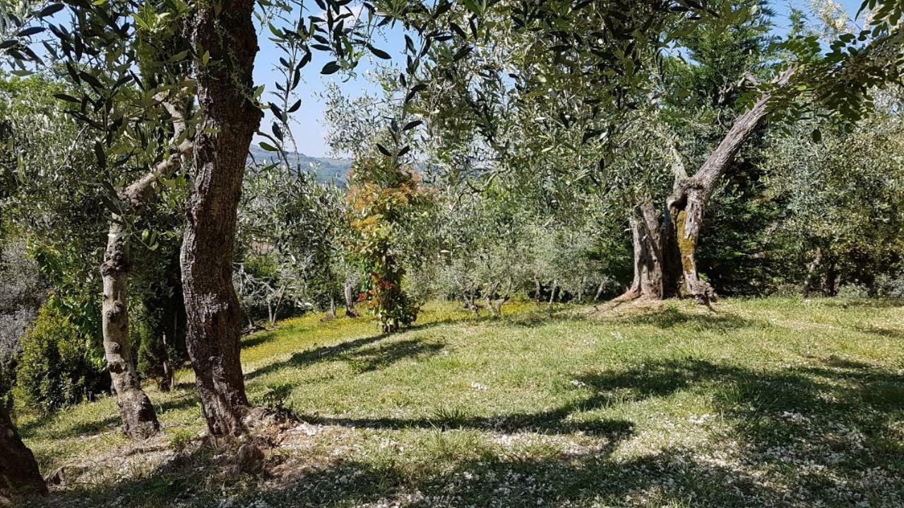 Le Massucce San Casciano in Val di Pesa Εξωτερικό φωτογραφία