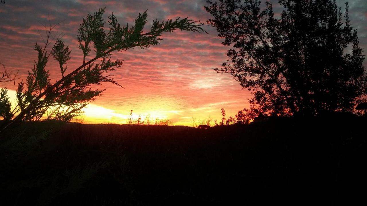Le Massucce San Casciano in Val di Pesa Εξωτερικό φωτογραφία